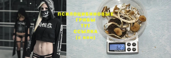 спиды Володарск