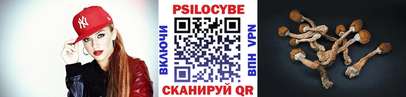 Псилоцибиновые грибы GOLDEN TEACHER  Санкт-Петербург 